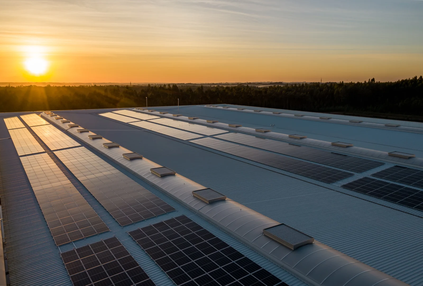 Polycrystalline Solar Panel Image